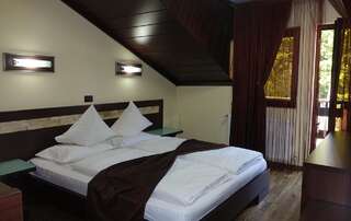 Курортные отели Complex Cochet Буштени Double Room with Free Pool Access - Vila 4-7