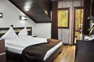 Курортные отели Complex Cochet Буштени Double Room with Free Pool Access - Vila 4-2