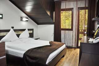 Курортные отели Complex Cochet Буштени Double Room with Free Pool Access - Vila 4-36